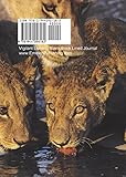 Image de Vigilant Lioness Blank Book Lined Journal (5x7)