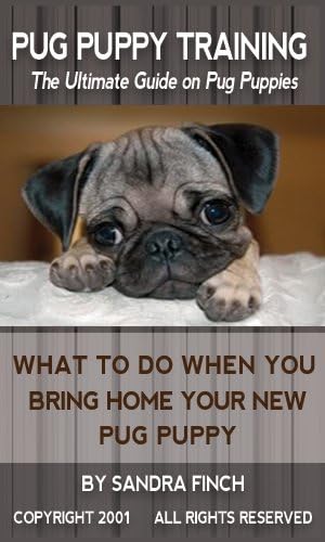 Pug Puppy Training: The Ultimate Guide on Pug Puppies, What to Do When You Bring Home Your New Pug Puppy