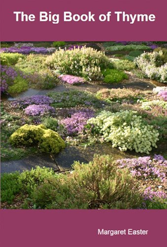 Download The Big Book of Thyme (English Edition) PDF