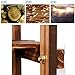 unho Tiered Wood Plant Stand: Large Flower Pot Holder Shelf 6 Potted Planter Display Rack for Garden Patio Balcony Living Room Indoor Outdoor