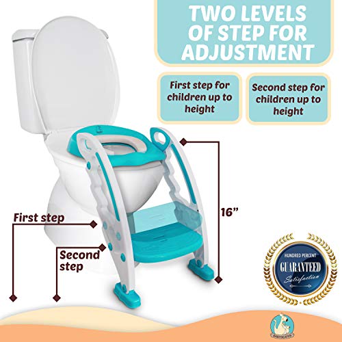 BABYSEATER Potty Training Seat with Potty Reward Chart Step Stool