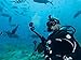 GoPro Dive Filter for Dive Housing (Magenta) (GoPro Official Accessory)
