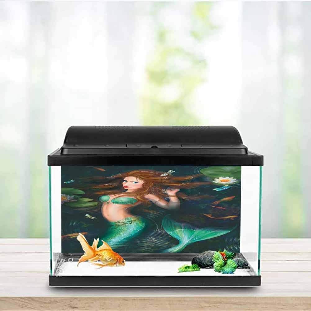 mermaid fish tank