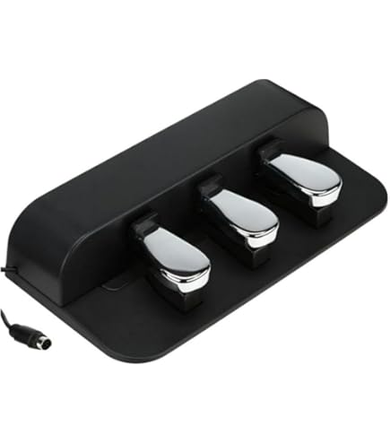 Amazon.com: Casio SC-900P Carry Case for Privia PX-S Keyboards