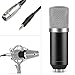 Neewer® NW-700 Professional Studio Broadcasting & Recording Condenser Microphone Set Including: (1) NW-700 Condenser Microphone + (1) Ball-type Anti-wind Foam Cap + (1) Microphone Audio Cable (Black)