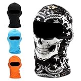 Balaclava Ski Mask Premium Motorcycle Face Mask Outdoor Neck Breathable Tactical Hood