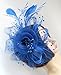 Cizoe Fascinators Hat for Women Tea Party Headband Kentucky Derby Wedding Flower Cocktail Mesh Feathers Hair Clip(1-Royal Blue)
