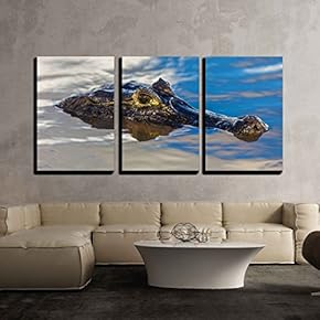 3 Piece Canvas Wall Art - Amazing Wild Crocodile in Pantanal River, Brazil - Modern Home Art Stretched and Framed Ready to Hang - 16"x24"x3 Panels