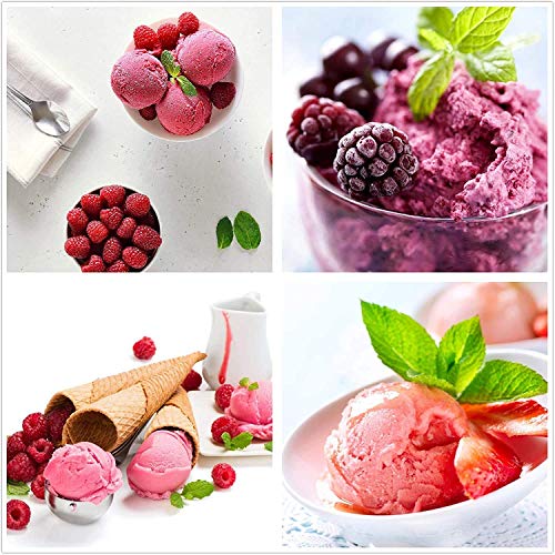 Home Fruit Soft Serve Ice Cream Maker Ideal to Make Frozen Fruit Ice