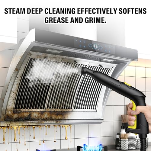Steam Cleaner, Home Steam Cleaner 2 L 2000W Steam Pressure 5 Bar with 23 Vaporetto Accessories for Sanitizing Floor, Sofas, Furniture, Car