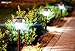 LongWalker Solar-Powered LED Garden and Pathway Lights: 2 Wireless, Weatherproof, Waterproof, Longlasting Stainless Steel Ground Lights plus Garden Hand Shovel