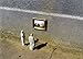 Cement Eclipses: Small Interventions in the Big City