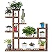 Giantex Flower Rack Wood Plant Stand Wood Shelves Bonsai Display Shelf Indoor Outdoor Yard Garden Patio Multifunctional Storage Rack Bookshelf W/Hollow-Out Rack (47.5’’Lx 10’’Wx 47.5’’H (7 Tier))