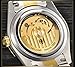 Mens Gold Stainless Steel Watch Men Automatic Mechanical Self-Wind Watch Designer Dress Men Wristwatches (A- Full Gold)