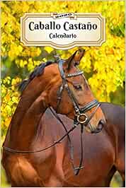 2020 Caballo Castaño Agenda: 107 Páginas | Tamaño A5 | Planificador Semanal | 12 Meses | 1 Semana en 2 Páginas | Agenda Semana Vista | Tapa Blanda | Caballo