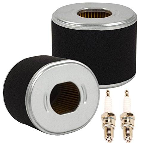 HIFROM Pack of 2 Set Air Filter With Spark Plug for Honda GX240 8HP GX270 9HP Engine Replace 17210-ZE2-821 17210-ZE2-822 17210-ZE2-515