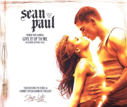 Sean Paul - Give It Up To Me - Zortam Music