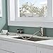 KINGO HOME Single Lever Kitchen Faucet