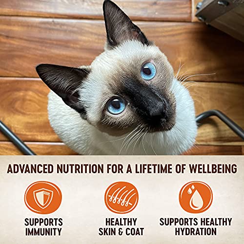 Wellness CORE Tiny Tasters Wet Cat Food, Complete & Balanced Natural