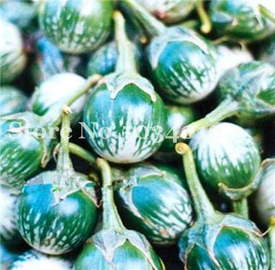 HONIC 100pcs Huevo Berenjena bonsáis sobre la Venta de Plantas ...