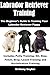 Labrador Retriever Training: The Beginner's Guide to Training Your Labrador Retriever Puppy: Include by Brittany Boykin