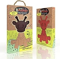 amber teething toy