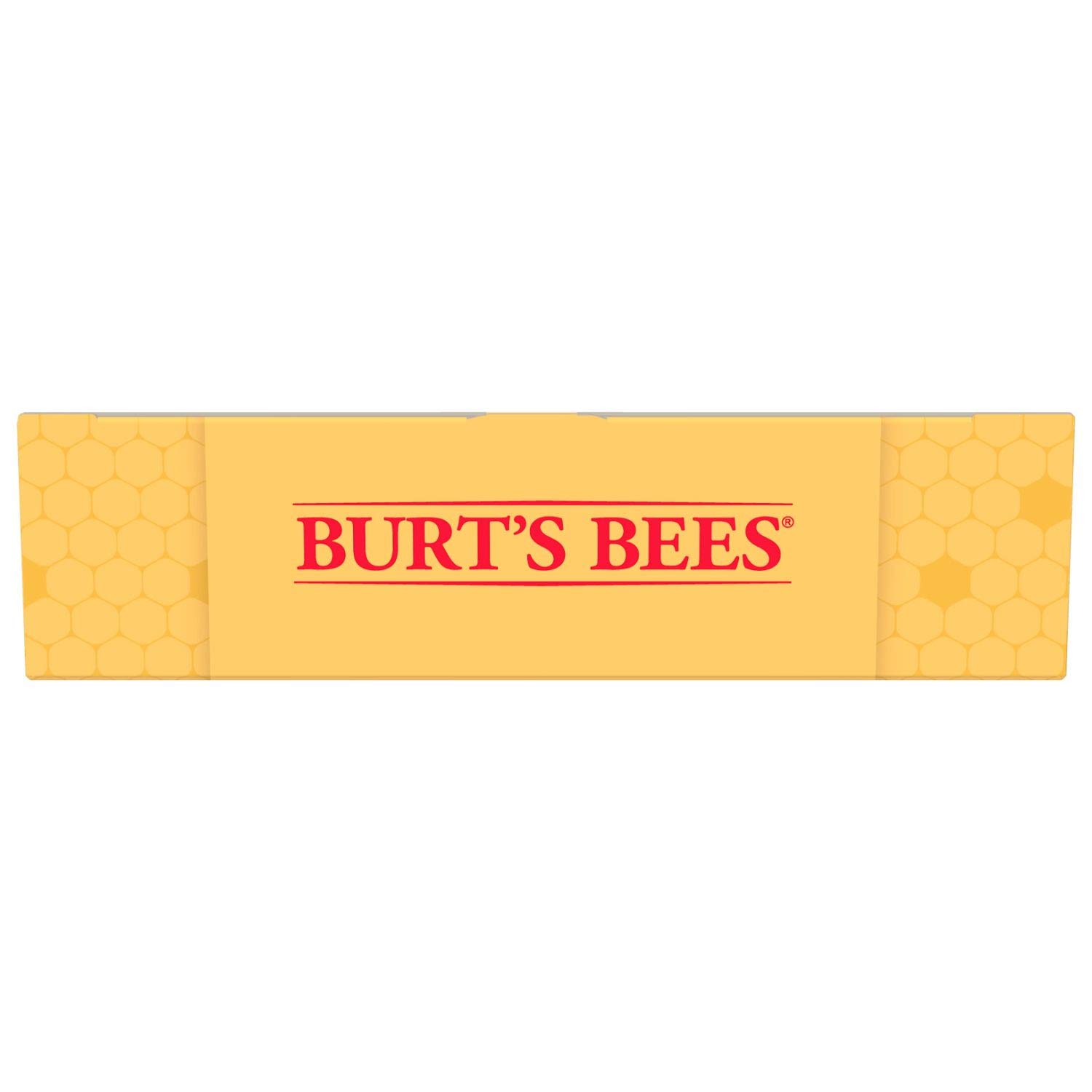 Burt's Bees Essential Gift Set, 5 Travel Size Products - Deep Cleansing Cream, Hand Salve, Body Lotion, Foot Cream and Lip Balm: Beauty