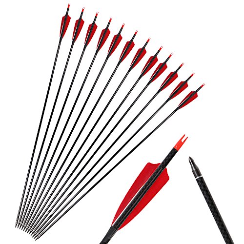 image for Huntingdoor 31 Inch Pure Carbon Arrows Spine 300 Archery Fletched 4 In