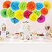 ZJHAI Set of 20 Rainbow Color Paper Pom Poms and Paper Folding Fans, 5 Colors, for Decorating Party, Shop or Wedding
