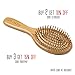 SHARCA Premium Wooden Bamboo Hair Brush with Ball Tipped Bristles from Natural Wood. Organic, Biodegradable, No plastic