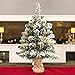 Best Choice Products 24in Pre-Lit Snow Flocked Tabletop Christmas Tree Decor w/ 30 LED Lights, Battery Pack, Timer