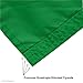 College Flags & Banners Co. Irish Shamrock Banner Flag