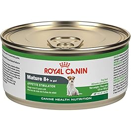 Royal Canin Canine Health Nutrition Mature 8+ in Gel Wet Dog Food