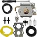 Dalom WT-827 Carburetor w Air Filter Fuel Line for Troy-Bilt 753-05133 TB10CS TB20CS TB20DC TB65SS TB70FH TB70SS TB90BC Trimmer TB310QS TB320BV Leaf Blower primary