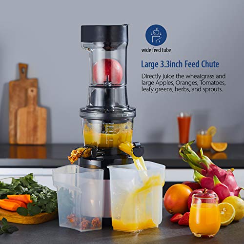 COMFEE' MJ-WJS2009PW2 COMFFE' BPA Free Jucier with Ice Cream Maker 3.4inch Large Chute. 55RPM Slow Cold Press Masticating and Grinding. High Yield. Quiet Motor, Reverse Function. Champagne Gold, Rose - Thumbnail 2