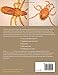 Insect Microscopy