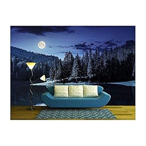 Lake Near The Pine Forest in Mountains at Night in Full Moon Light - Removable Wall Mural | Self-Adhesive Large Wallpaper - 66x96 inches