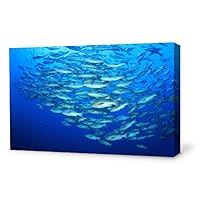 Canvas Wall Art Sea Fish Canvas Prints Home Artwork Decoration for Living Room,Bedroom - 12x18 inches
