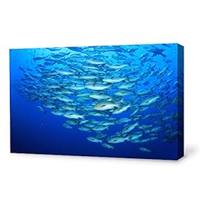 Canvas Wall Art Sea Fish Canvas Prints Home Artwork Decoration for Living Room,Bedroom - 12x18 inches