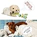 Nollary Pet Dogs Cotton Rope Chew Toys Interactive Tug of War Ball Toys for Puppies Teething Clean Aggressive Chewers 3 in 1 Set …