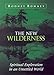 Wilderness Spirituality: Finding Your Way in an Unsettled World by Rodney Romney