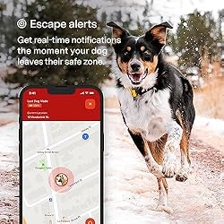 Fi Series 3 Smart Dog Collar - GPS Dog Tracker and