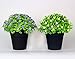 VGIA Small Artificial Plants for Home Decor Fake Flowers in Pot Lovely Decoration (Purple)