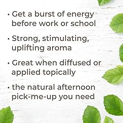 Plant Therapy Energy Essential Oil Blend 10 mL