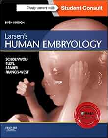 Larsen S Human Embryology 5e Schoenwolf Larsen S Human