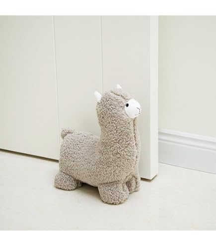 Amazon.com: Decorative Door Stop-Cute Weighted Door Stopper for