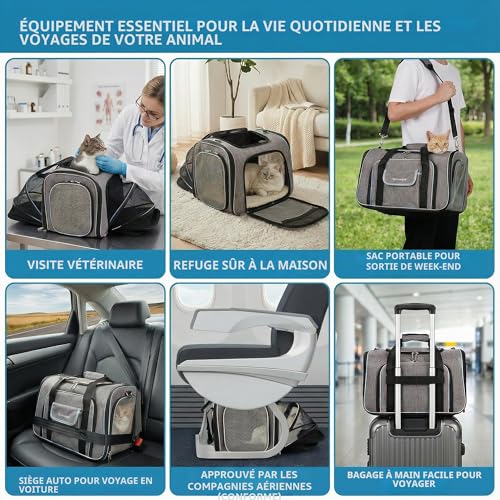 Airline Approved Expandable 4-Sided Cat Carrier Bag for Cats & Small Dogs, Car/Plane/Train, Folding, Removable Soft Cushion, 45 x 28 x 28 cm, Secure
