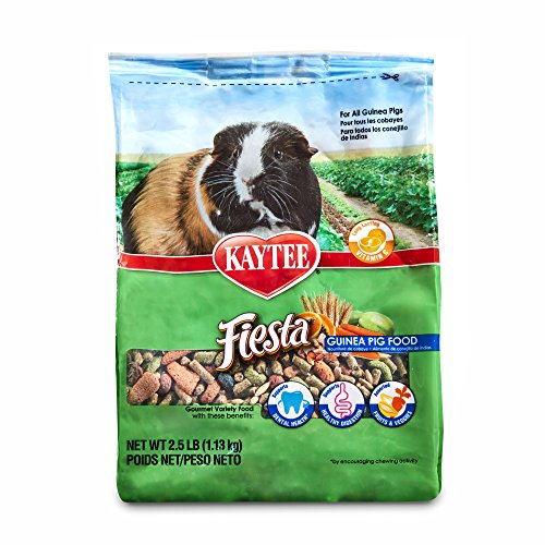 Kaytee Fiesta Guinea Pig Food Fiesta Guinea Pig 25 Pounds
