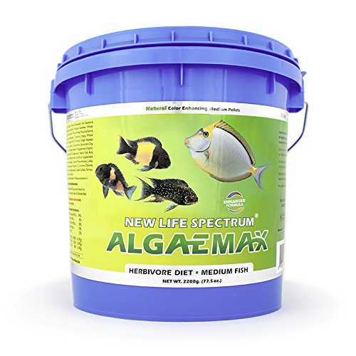 New Life Spectrum AlgaeMax Medium 2200g