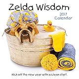 Zelda Wisdom 2017 Wall Calendar